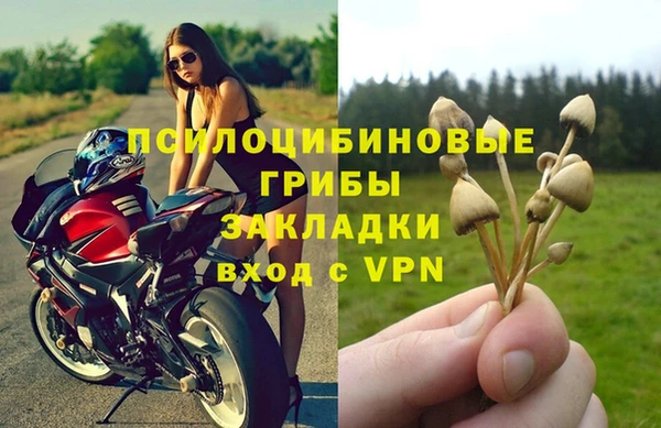 ECSTASY Ладушкин
