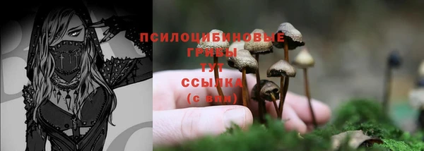 ECSTASY Ладушкин